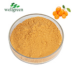 100% Natural Water Soluble Fruit Drink Orange Beverage Juice Kumquat Powder