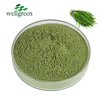 Water soluble Natural Essence Dehydrated Vegetables Dried Leeks Seed Extract Leek Juice Powder