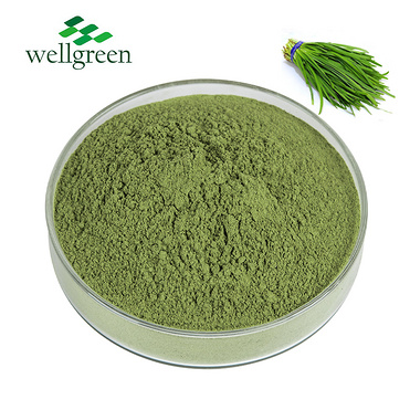 Water soluble Natural Essence Dehydrated Vegetables Dried Leeks Seed Extract Leek Juice Powder
