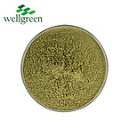 Bulk Price Fresh Dried Celery Powder Celery Extracts