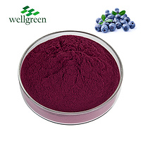Wild Bulk Juice Spray Dried Freeze Organic Blueberries Extract Fruit Flavouring Tea Blueberry Powder