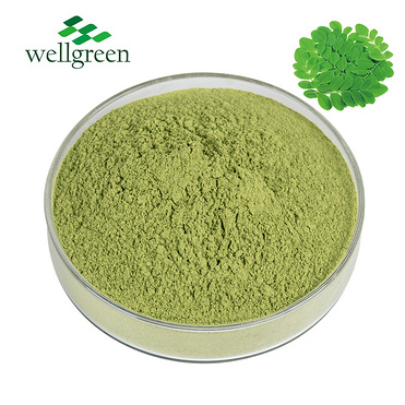 Wholesale Bulk Organic Use Pure Natural Usa Powdered Leaf Leaves Oleifera Root Moringa Powder