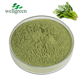 Organic Juice Dried Red Freeze Water Pure Kosher And Kale Concentrate Extract Spinach Powder