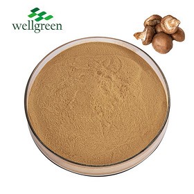 Factory Outlet Shitake Extract Magic Button Blend Shiitake Lentinus Edodes Mushroom Powder