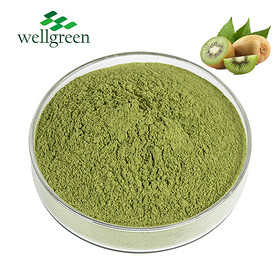 Wholesale Fruit Juice Extract Freezed Dried Organic Fermented Natural Kiwi Powder