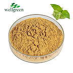 Hot Selling Dried Seaweed Dry Sargassum Shreded Wholesale Sheets Wakame Green Food Meal Nori Powder