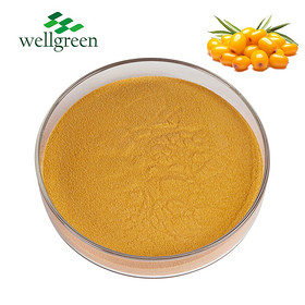 Organic Fruit Extract Juice Oem Odm Freeze-Dried Natural Sea-Buckthorn Sea Buckthorn Powder