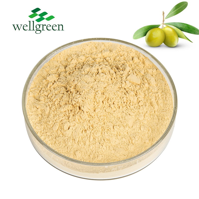 ISO OEM Factory Supply Private Label Extract Natural Antioxidants Olive Fruit Powder