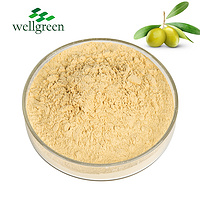 ISO OEM Factory Supply Private Label Extract Natural Antioxidants Olive Fruit Powder