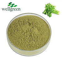 Celery Seeds Seed Export Extract White Fresh Dried Price Chinese Root Extracts Celery Powder