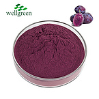 Wellgreen Juice Prunes Fruit Drink Manufacturers Plum Black Sweet Dried Prune Powder