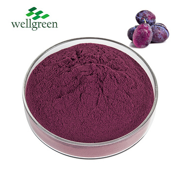 Wellgreen Juice Prunes Fruit Drink Manufacturers Plum Black Sweet Dried Prune Powder