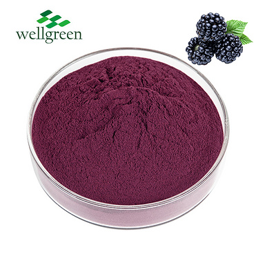 100% Pure Freeze Dried Black Berry Anthocyanin Juice Indian Instant Fruit Blackberry Powder