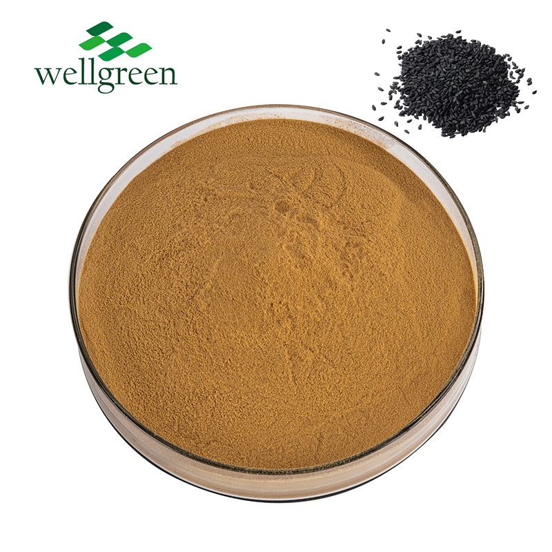 Manufacture Supply CAS 607-80-7 ISO Approved 98% Sesamin Black Sesame Seed Extract