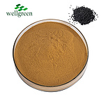 Manufacture?Supply?CAS?607-80-7?ISO?Approved?98%?Sesamin?Black?Sesame?Seed?Extract