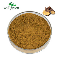 Plant Powder Thunb Root Cuspidatum Phosphatide Phospholipids Polygonum Multiflorum Extract