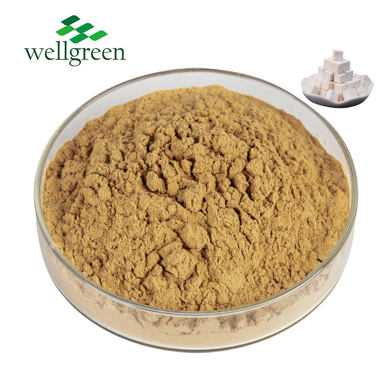 Verkauf Tuckahoe Extract Poria Cocos Mushroom Polysaccharide Poria Cocos Extract