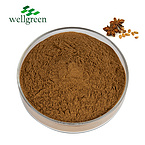 Wellgreen?Factory?Direct?Export?Food?Grade?Health?Care?Use?Fennel?Seeds?Extract?Powder