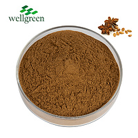 Wellgreen Factory Direct Export Food Grade Health Care Use Fennel Seeds Extract Powder