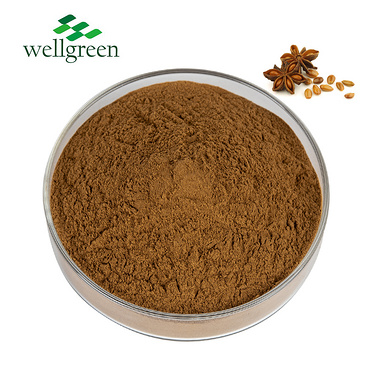 Wellgreen Factory Direct Export Food Grade Health Care Use Fennel Seeds Extract Powder