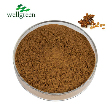 Wellgreen?Factory?Direct?Export?Food?Grade?Health?Care?Use?Fennel?Seeds?Extract?Powder