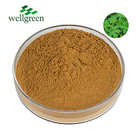 Wellgreen Herbal Factory Stock Harpagophytum Procumbens Devil's Claw Root Extract Powder