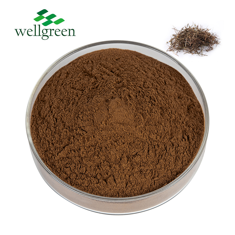 Chinese Traditional Herbal Halal Hedyotis Diffusa Willd Extract Powder