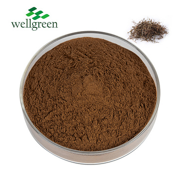 Chinese?Traditional?Herbal?Halal?Hedyotis?Diffusa?Willd?Extract?Powder