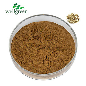 Factory Natural Herbal Dahuricae Radix Angelica Acutiloba Root Extract Powder