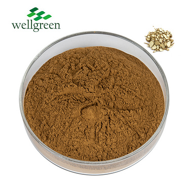 Factory Natural Herbal Dahuricae Radix Angelica Acutiloba Root Extract Powder