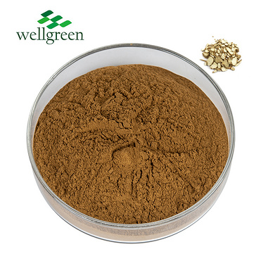Factory?Natural?Herbal?Dahuricae?Radix?Angelica?Acutiloba?Root?Extract?Powder