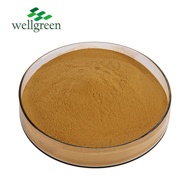 Wellgreen Low Price Export Iso Certified Tannic acid Food Grade Gallic Acid Galla Chinensis Extract
