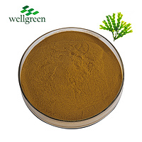 Wellgreen Factory Supply Organic Iodine Fucus Alga Vesiculosus Powder Bladderwrack Extract