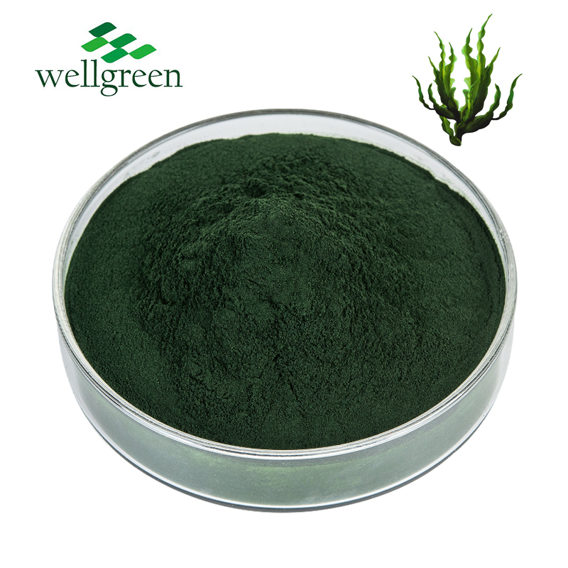 Wellgreen?Natural?Seaweed?Manufacturer?Supply?85%?Brown?Fucoidan?Sea?Weed?Extract