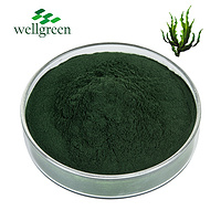 Wellgreen Natural Seaweed Manufacturer Supply 85% Brown Fucoidan Sea Weed Extract