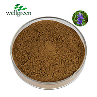 Divinorium Sclarea Leaf Miltiorrhiza Divinorum Powder Japonica Sage Officinalis Salvia Extract