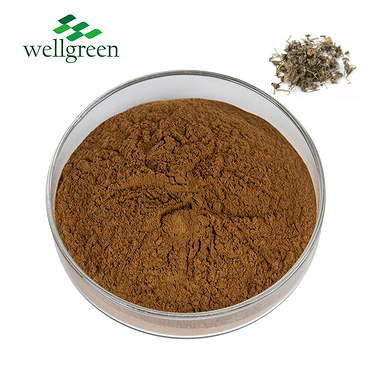 Chinese Purpleflower Pure Yedoensis Herb Plant Powder Zi Hua Di Ding 10:1 20:1 Herba Violae Extract