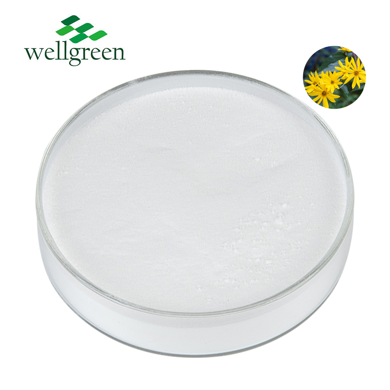 Wellgreen Low Price Bulk Food Grade Organic Chicory Root Extract Inulin Powder