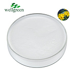 Wellgreen?Low?Price?Bulk?Food?Grade?Organic?Chicory?Root?Extract?Inulin?Powder