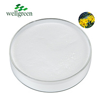 Wellgreen Low Price Bulk Food Grade Organic Chicory Root Extract Inulin Powder