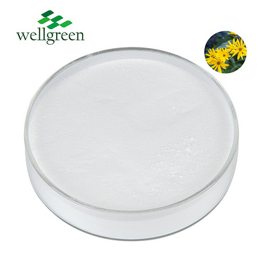 Wellgreen?Low?Price?Bulk?Food?Grade?Organic?Chicory?Root?Extract?Inulin?Powder