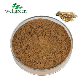 Instock Export Factory Supply Natural Anti-virus Ban Lan Gen Radix Isatidis Extract Powder