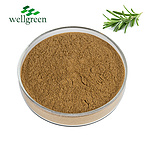 Leaf?Powder?Ursolic?Acid?Food?Grade?98%?Rosmarinic?Cosmetic?White?Sell?Leaves?Rosemary?Extract