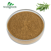 Leaf Powder Ursolic Acid Food Grade 98% Rosmarinic Cosmetic White Sell Leaves Rosemary Extract
