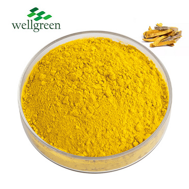 Low?Maq?Coptis?Chinensis?Berberis?Aristata?Extract?HCL?633-65-8?Berberine?Hydrochloride?Powder