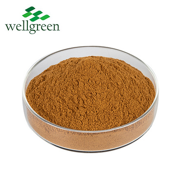 High Quality 98% Honokiol Magnolol Officinalis Ronchn 10:1 Berry Magnolia Bark Extract Powder