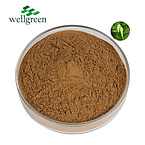 Wellgreen?Herb?Plant?Leaf?Powder?Pianta?Seed?Membeli?Benih?Semilla?25%?Kopen?Gymnema?Sylvestre?Extra