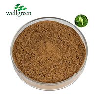 Wellgreen Herb Plant Leaf Powder Pianta Seed Membeli Benih Semilla 25% Kopen Gymnema Sylvestre Extra