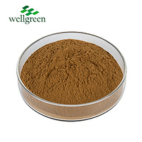 Wellgreen Factory Natural Pelargonium Sidoides Root Geranium Extract Powder