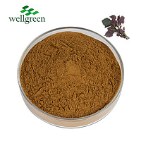 Leaf Seed Folium Perillae Frutescens Fructus Manufacturers Powder Fruit Purple Common Herb Perilla E